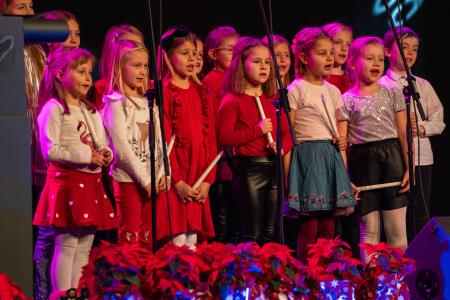 Bozˇicˇno novoletni koncert Obcˇine Ribnica24-03757